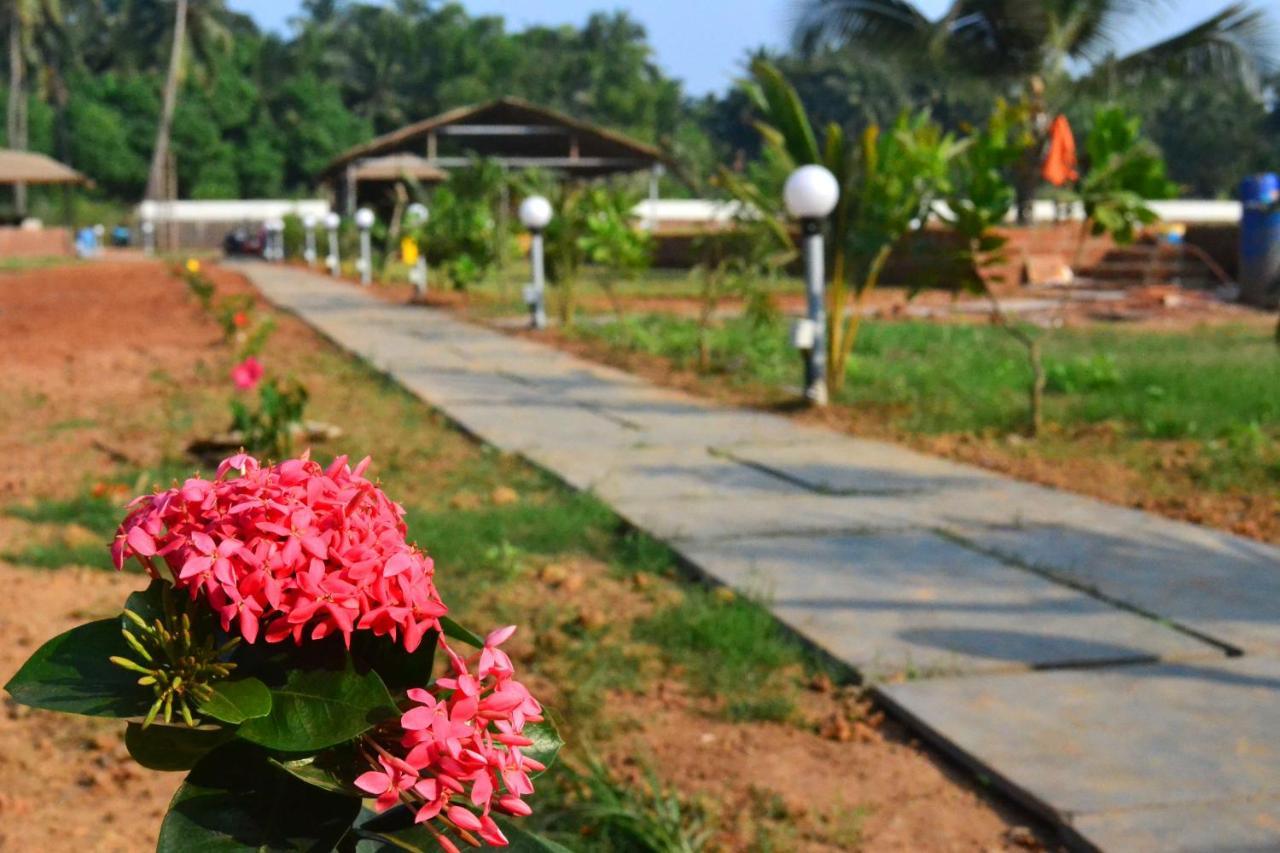 Radhika Eco Resort Arambol Exterior photo