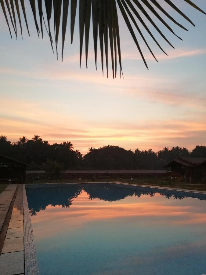 Radhika Eco Resort Arambol Exterior photo