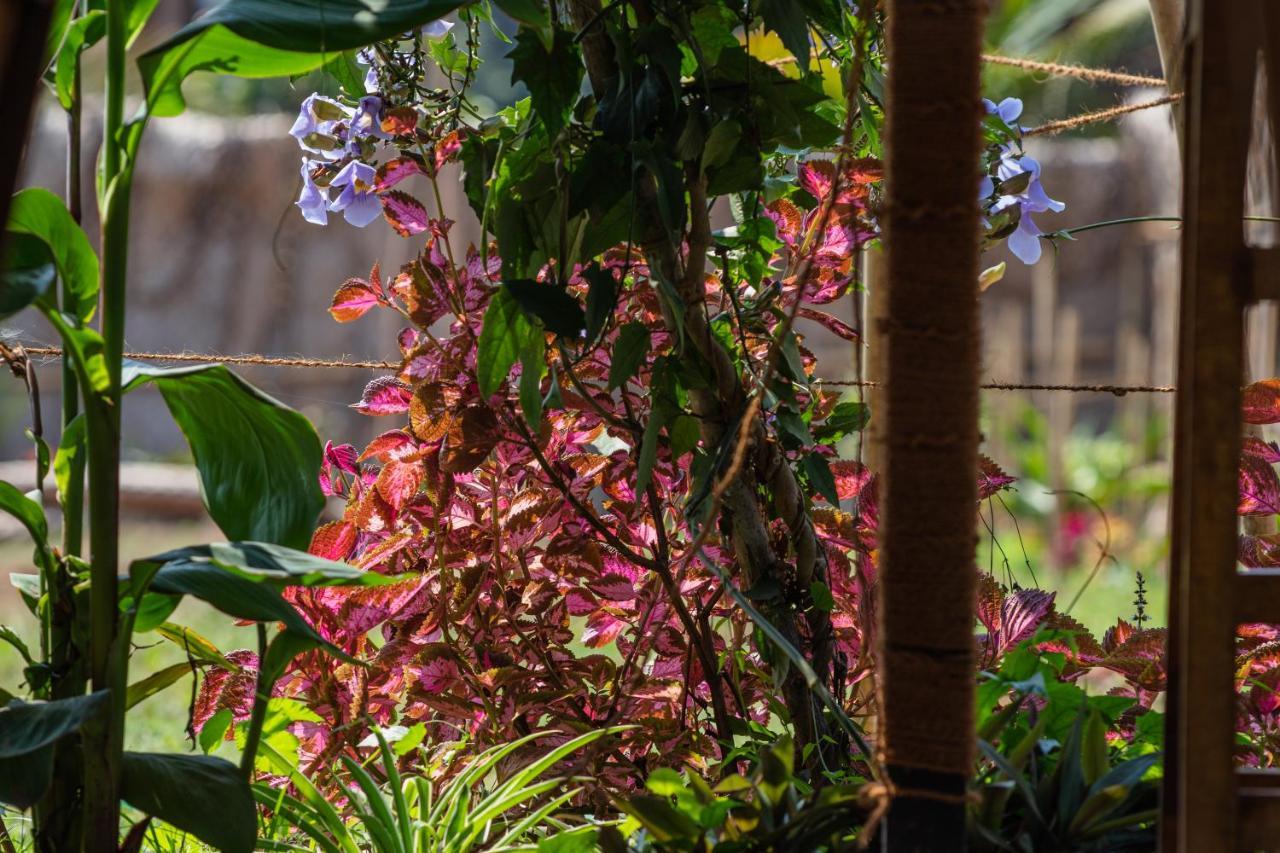 Radhika Eco Resort Arambol Exterior photo